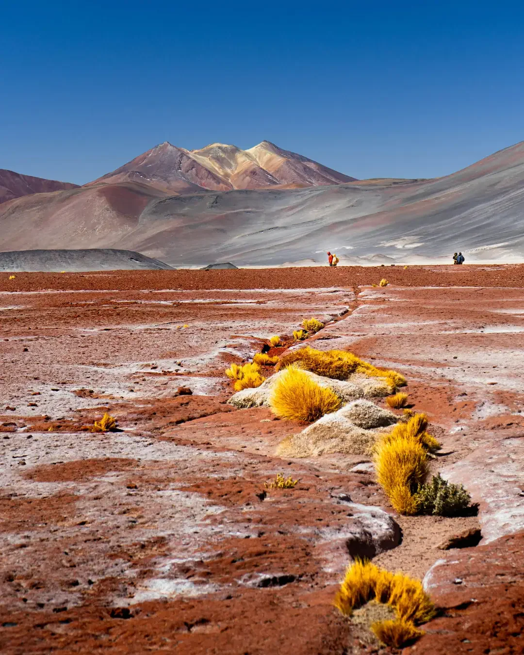 San Pedro de Atacama: Hub for Desert and Astrotourism