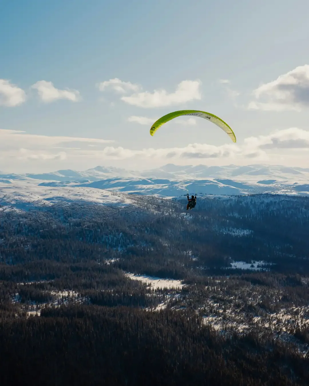 Kebnekaise and the Scandinavian Mountains