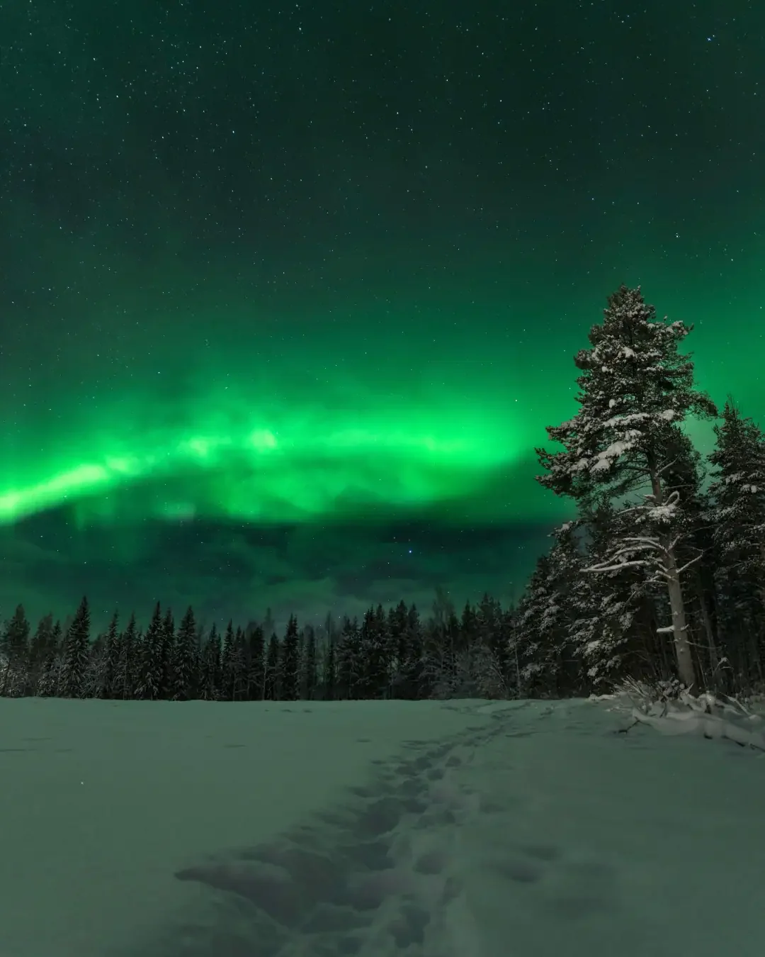 Sweden’s Tourism Trends and Green Adventure