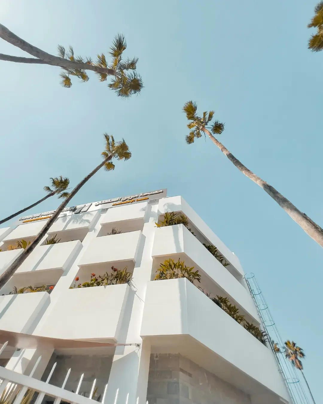 A Young, Urbanising Society between Arab and Amazigh Identities