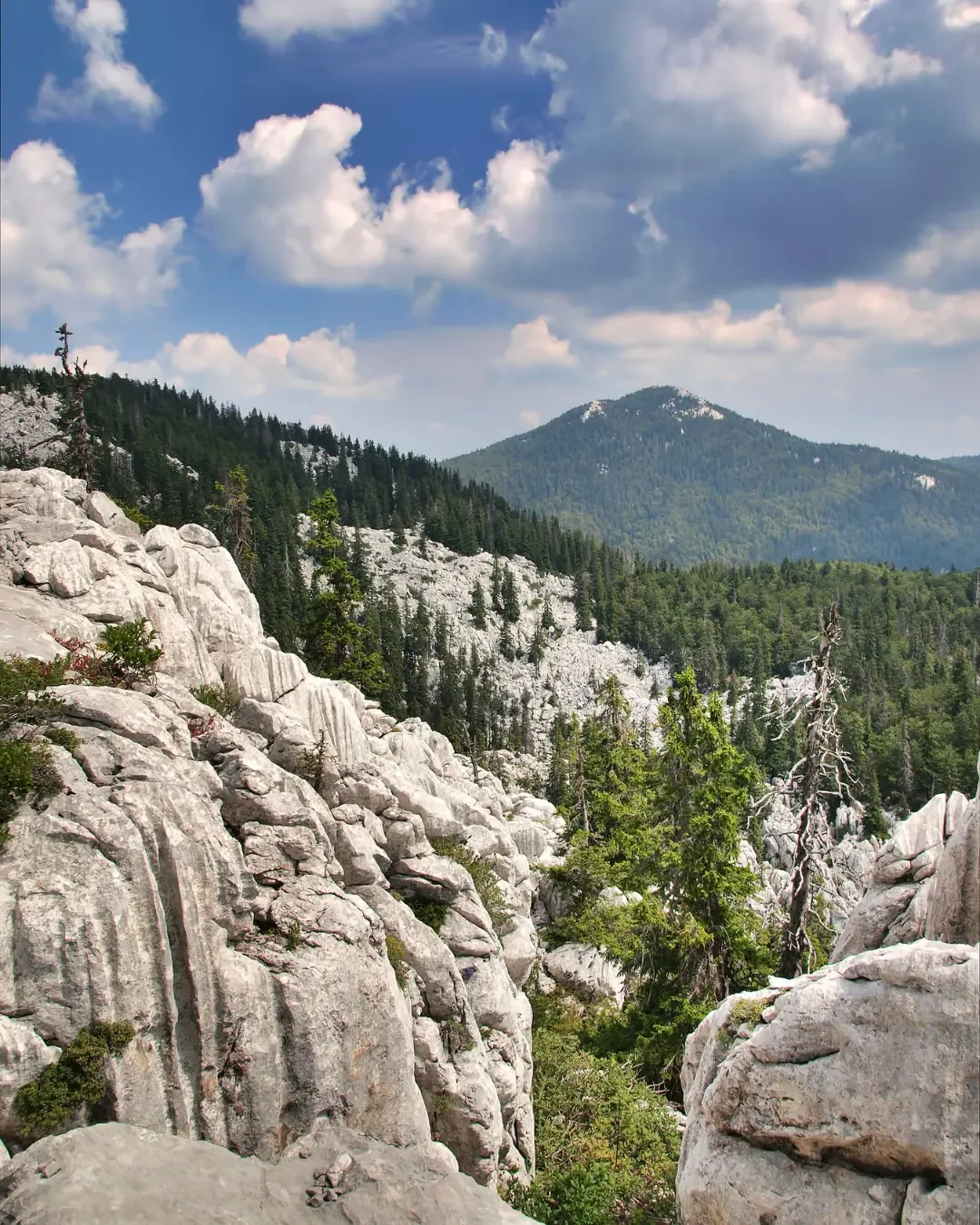 Velebit and the Dinaric Alps: A Mountain Wall above the Sea