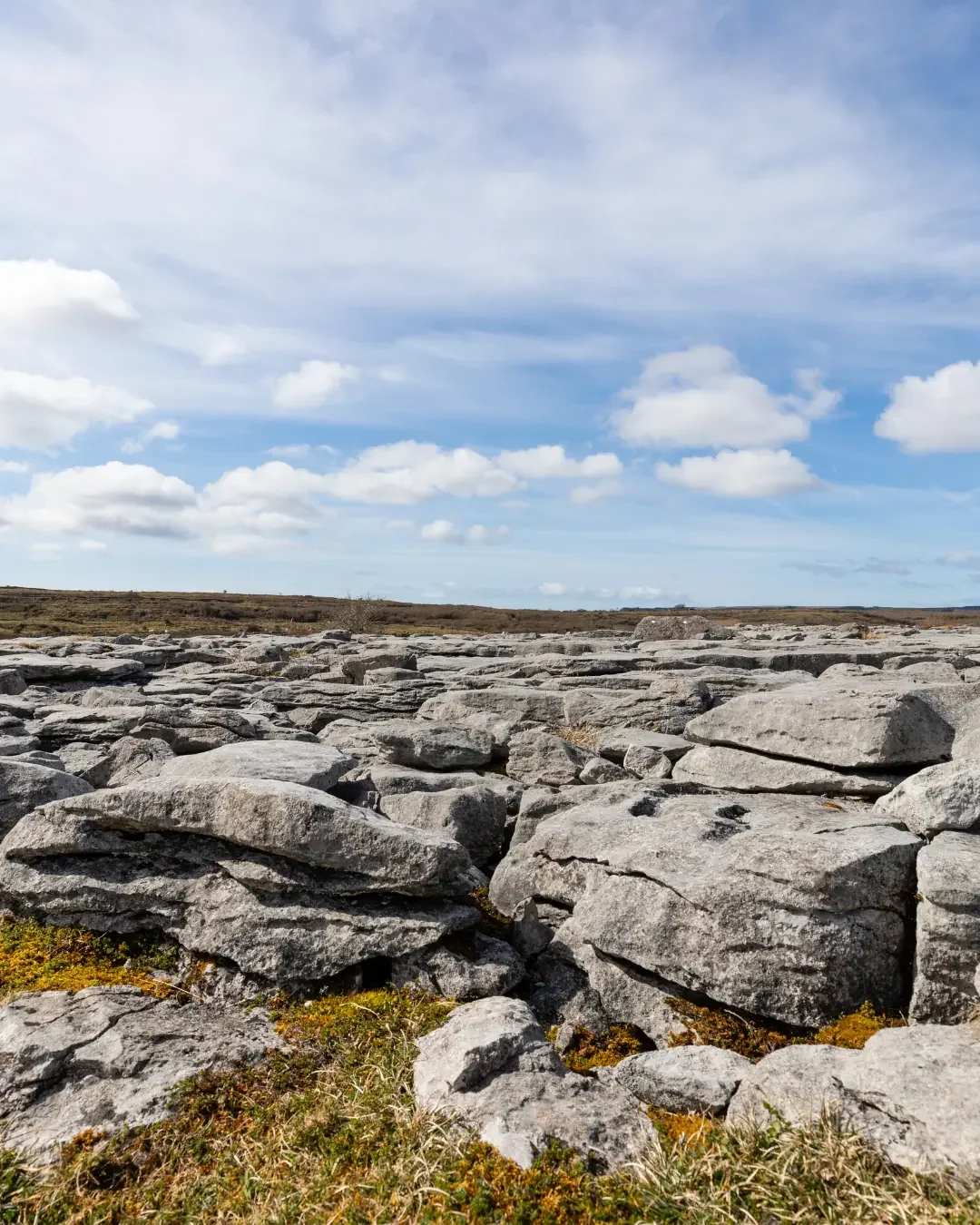 The Burren and Ireland’s Landscape of Apparent Contradictions