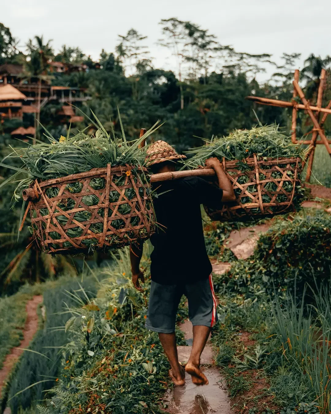 Bali Beyond the Beach: Tourism’s Shifting Landscape