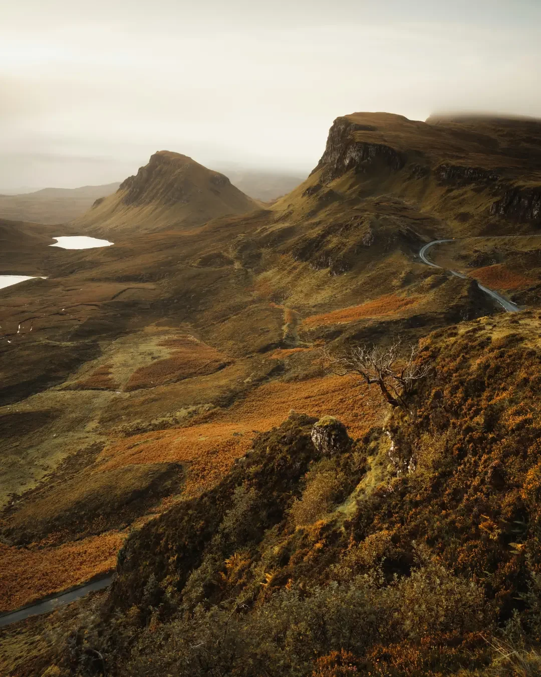 The Highland Clearances: Landscape as a Record of Dispossession