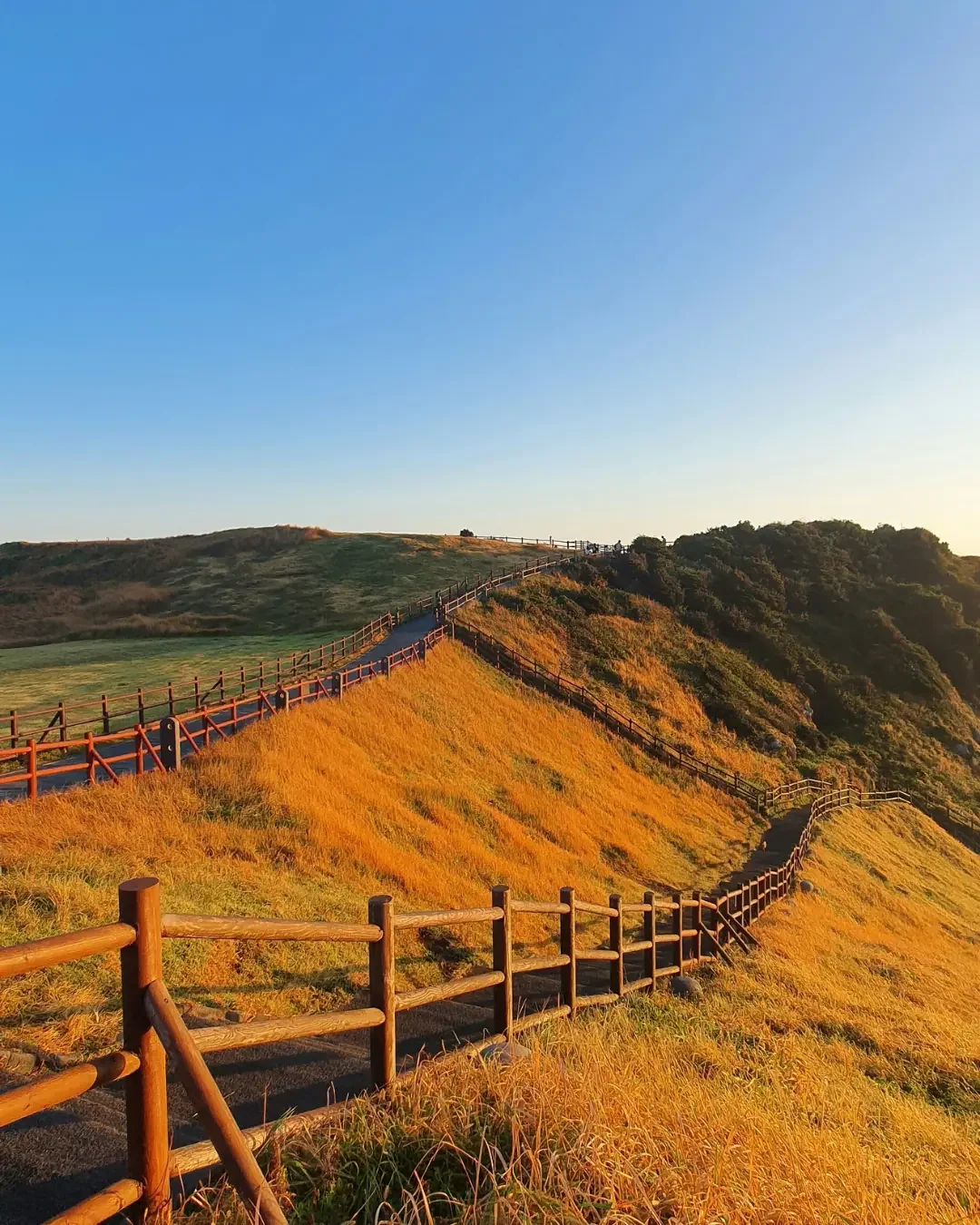 Jeju Island, a volcanic world within a country