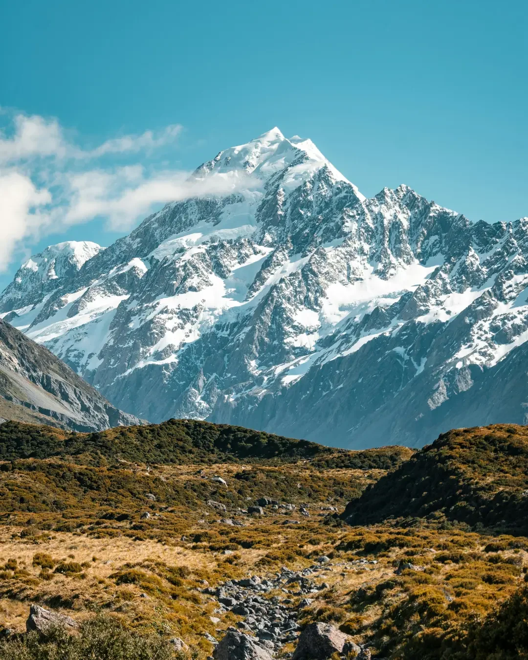Te Wāhipounamu and the deep south of New Zealand