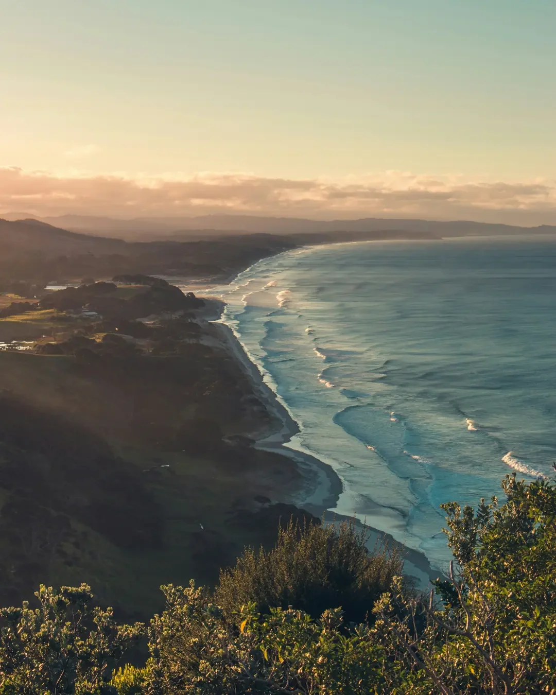 New Zealand’s long coastline and island isolation