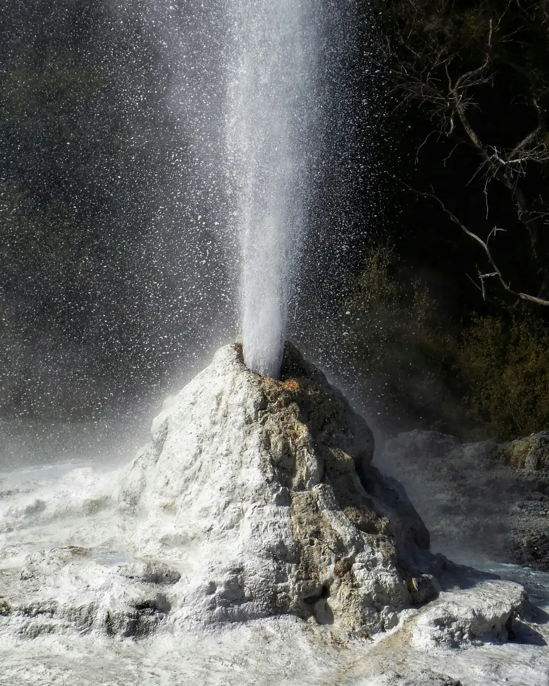 Rotorua and the tourism of living culture