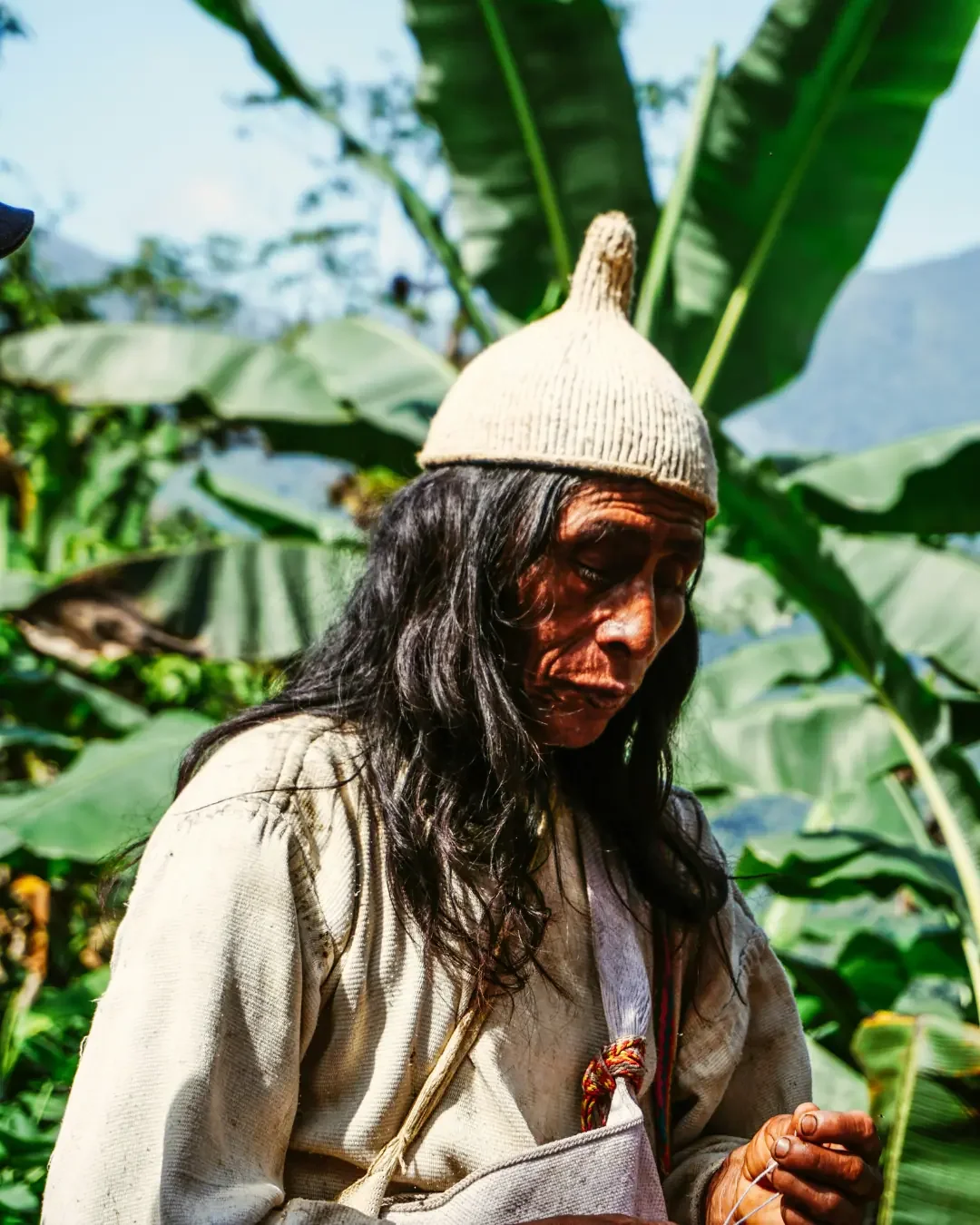 Afro-Colombian and Indigenous Lives