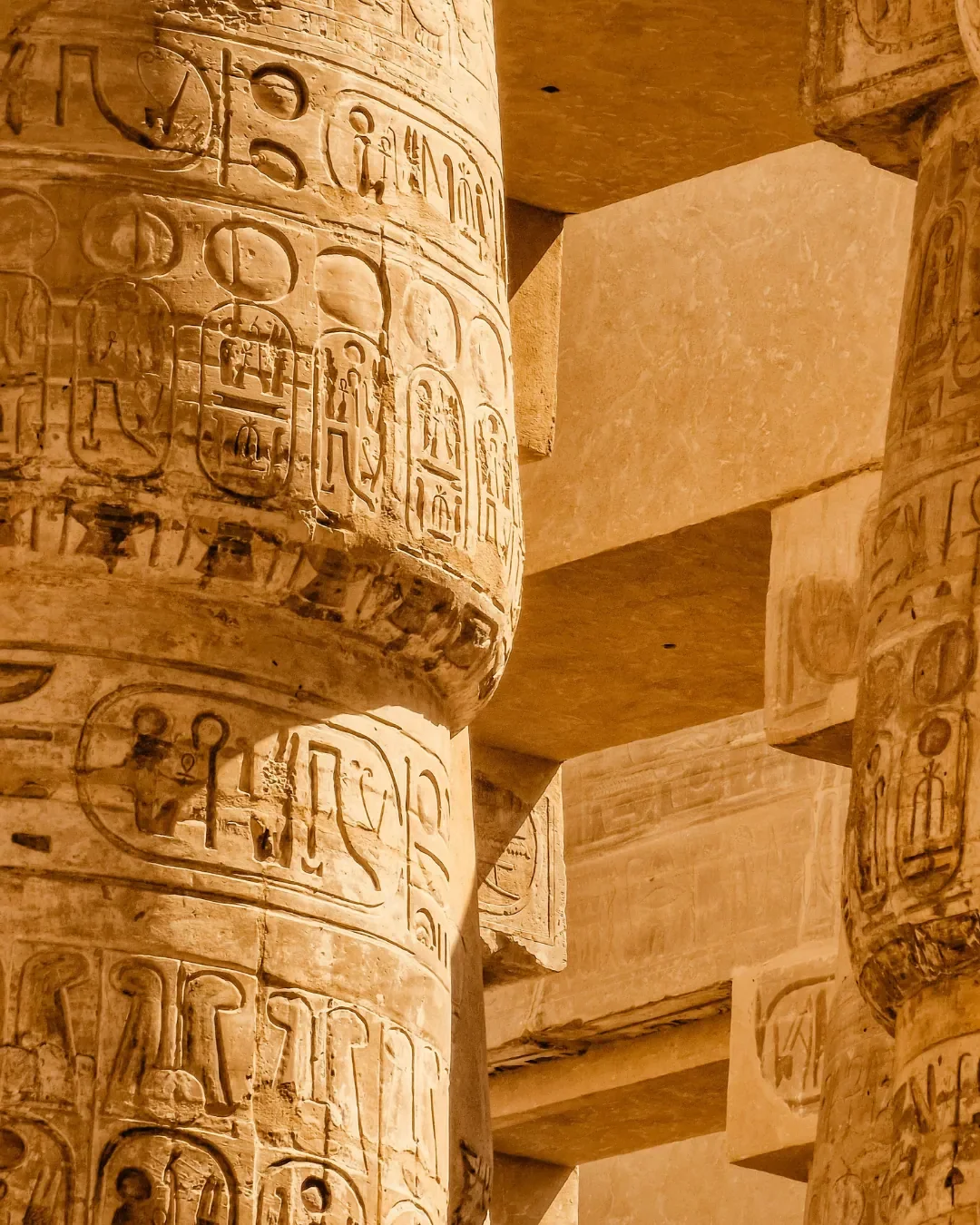An illuminated night view of the Luxor Temple in Egypt, featuring a colossal seated statue of Ramses II and massive ancient columns.
