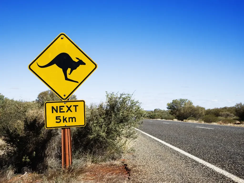 A yellow diamond-shaped kangaroo warning sign on the side of a long, straight asphalt road stretching into the Australian outback horizon.