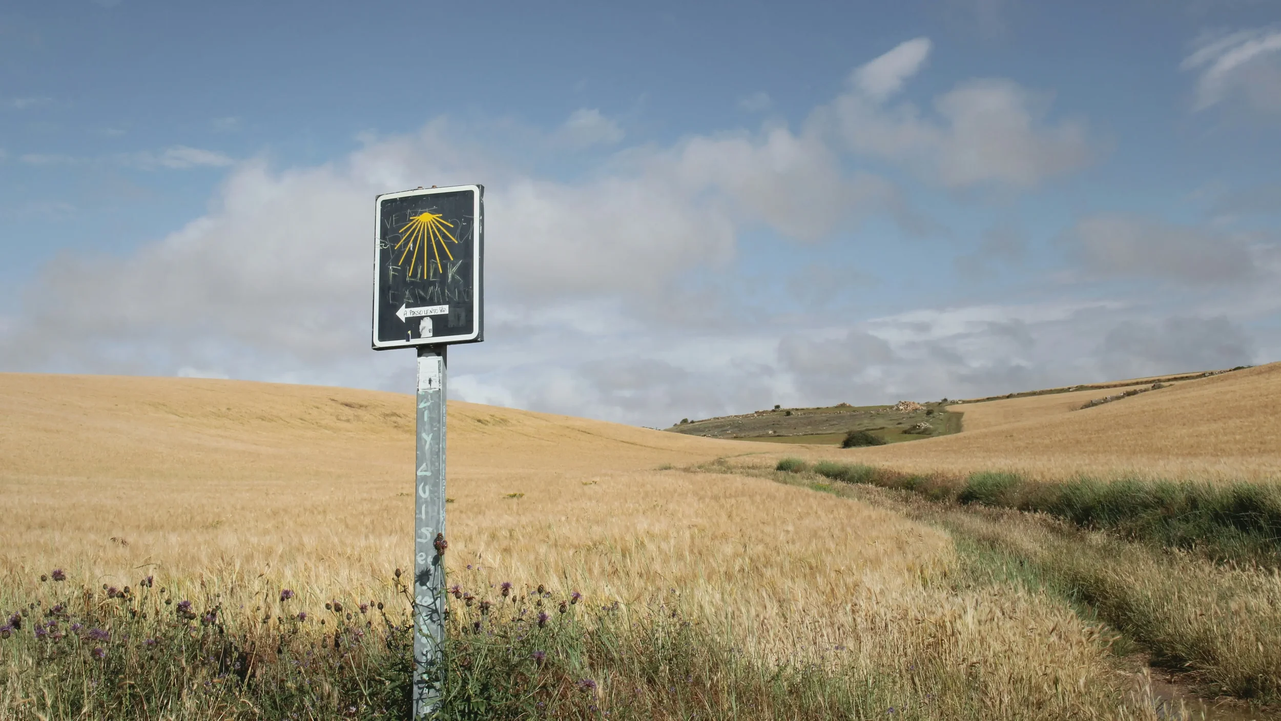 A concrete trail marker with a yellow arrow and blue scallop shell standing next to a dirt path through open fields under a wide sky on the Camino de Santiago.