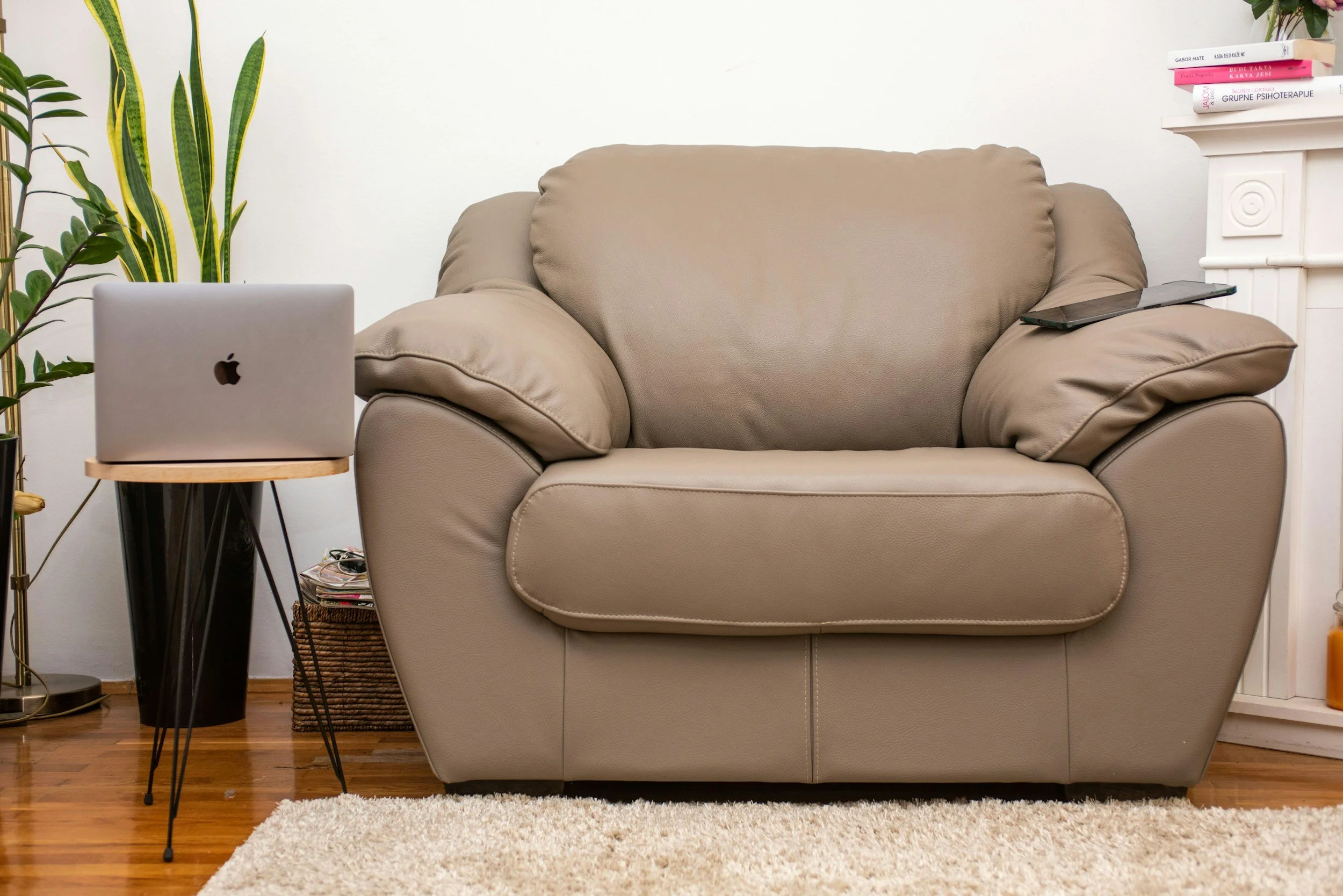 Living room with a beige leather armchair, a side table with a closed laptop, a potted plant, a white cabinet with books, and a white rug on wooden floor.