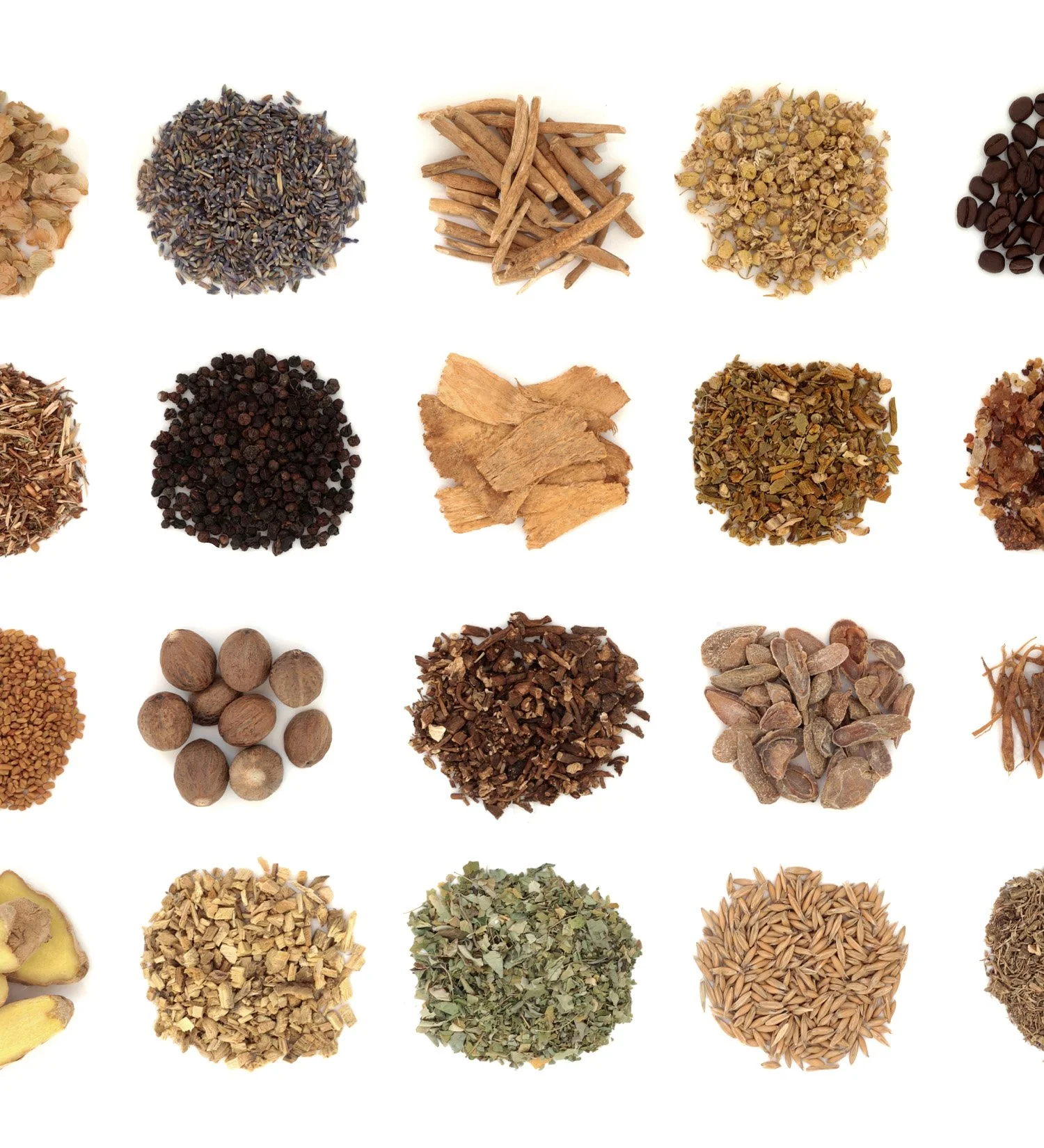 Diverse collection of dried natural Chinese herbs, used for personalized formulas.