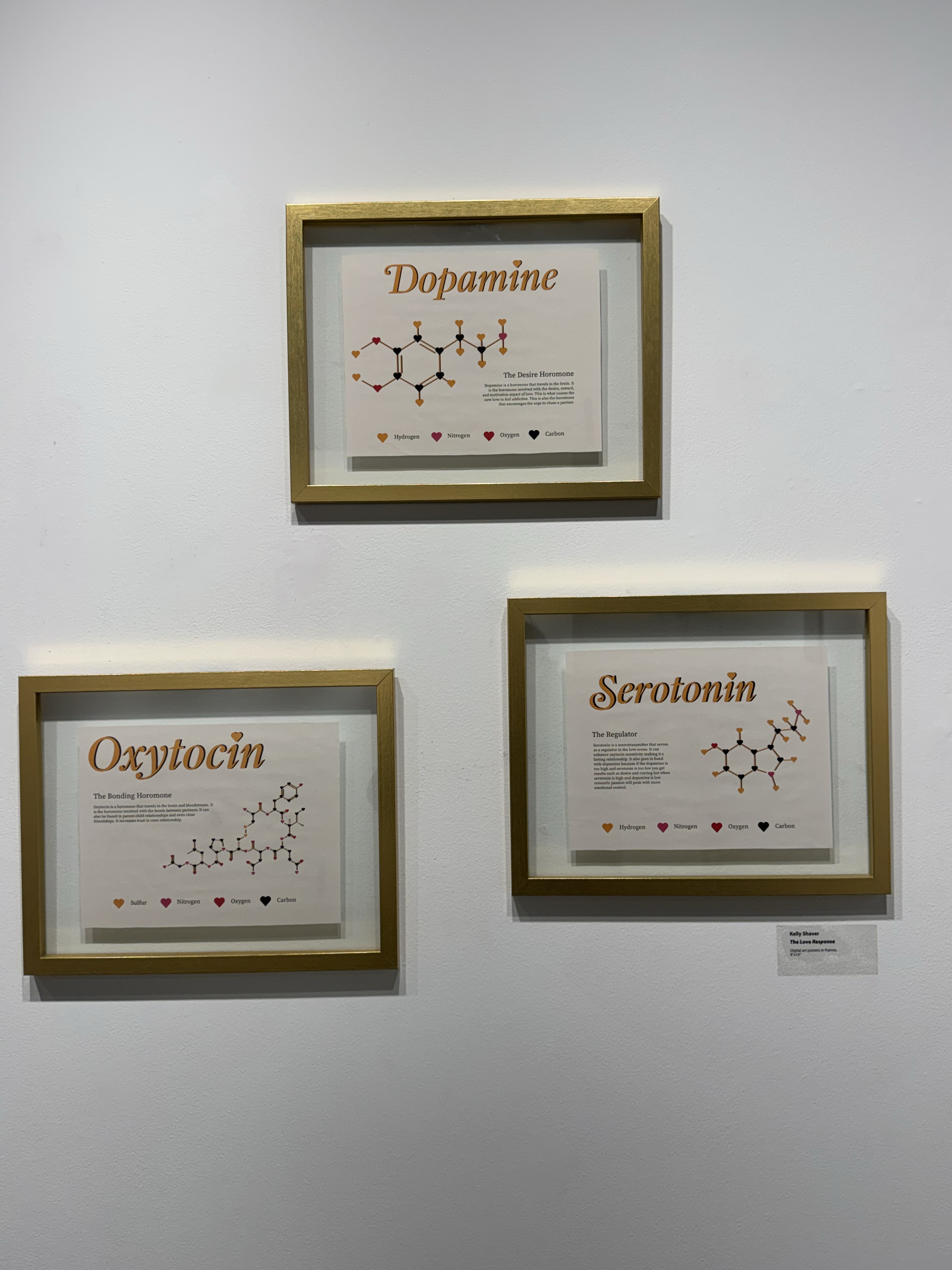 "The Love Response" on Display at The Love Show 2026