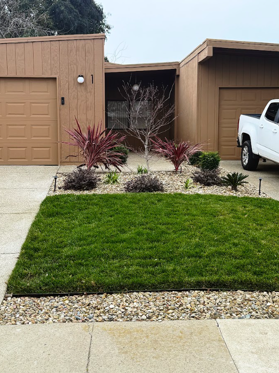 Screenshot 2026-01-27 132008.png