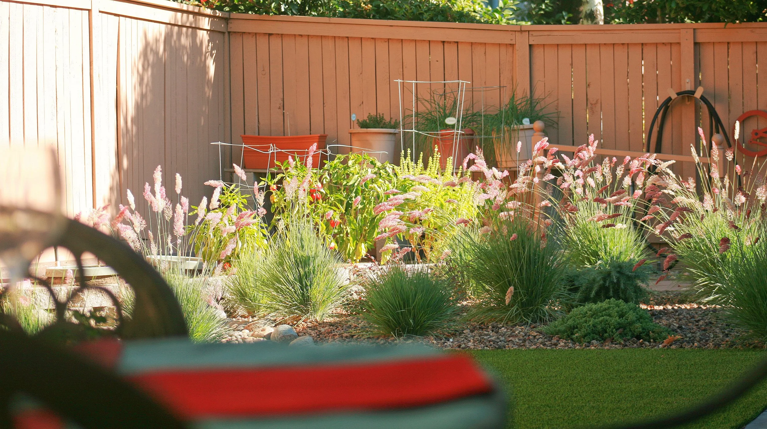 Schenk REvision 3.jpg