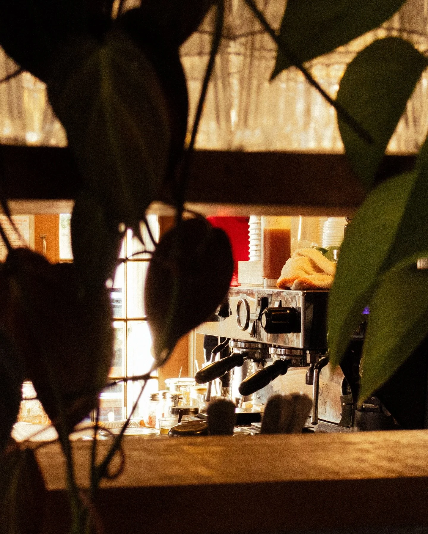 hey so it actually only has to make sense to me for me to do it and i don&rsquo;t feel like explaining it to anyone else is my mood getting closer to graduation

canon r50 | canon EOS 6D Mark II | IPhone :/ (but isn&rsquo;t the sky so cool?)