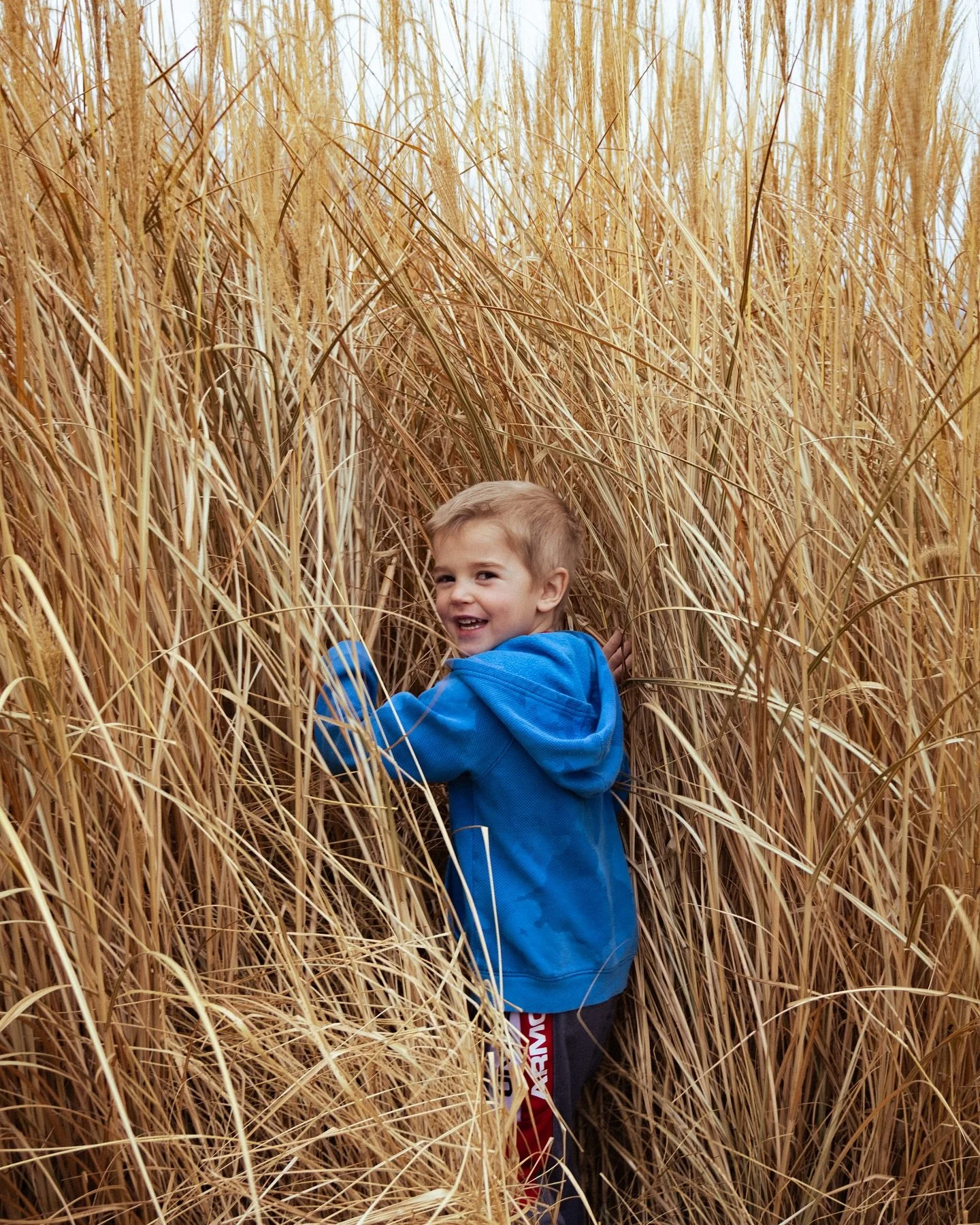 a very merry and foggy christmas eve back home <3 

dec 24, 2025 / missouri