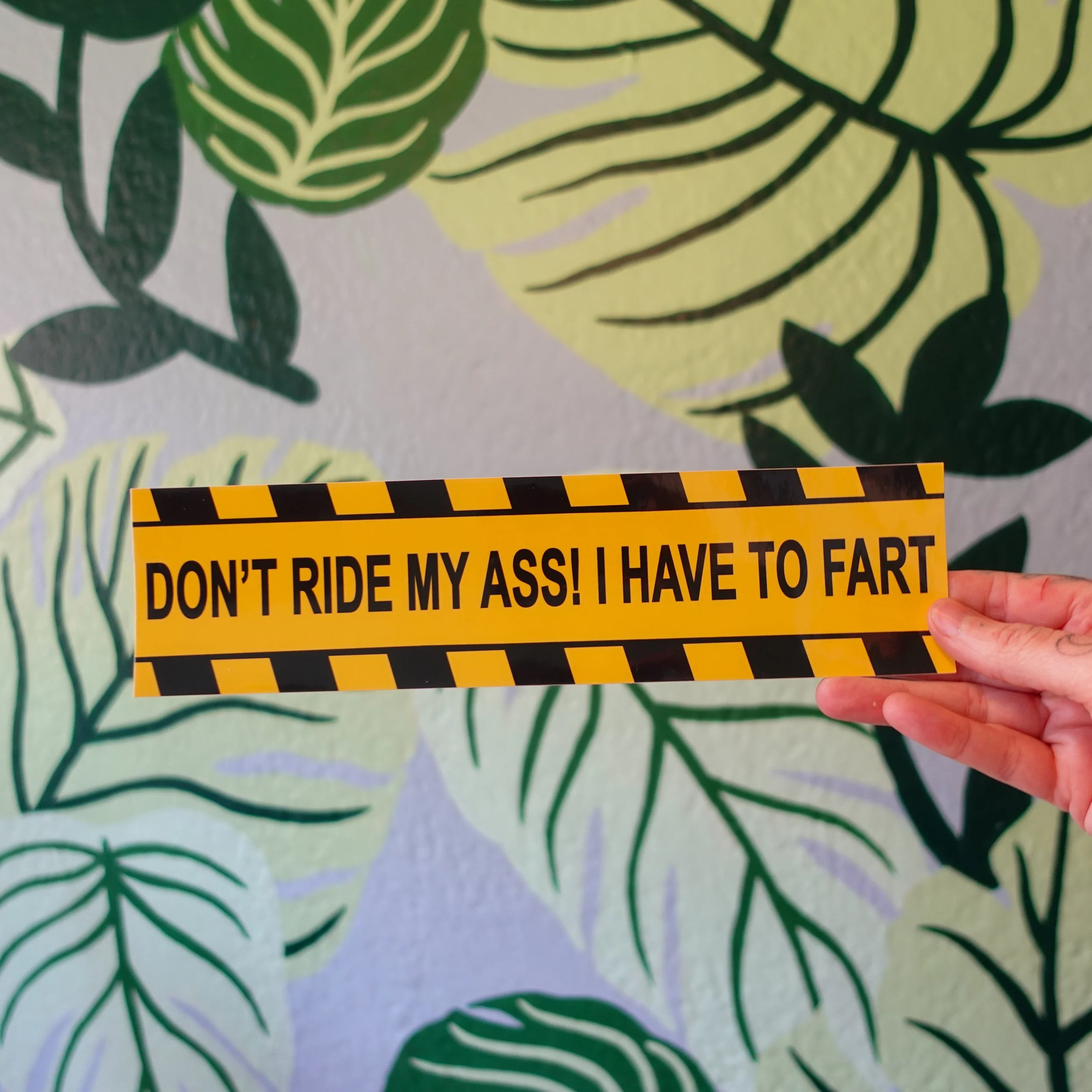 funny-bumper-sticker-dont-ride-my-ass-i-have-to-fart-2.jpg