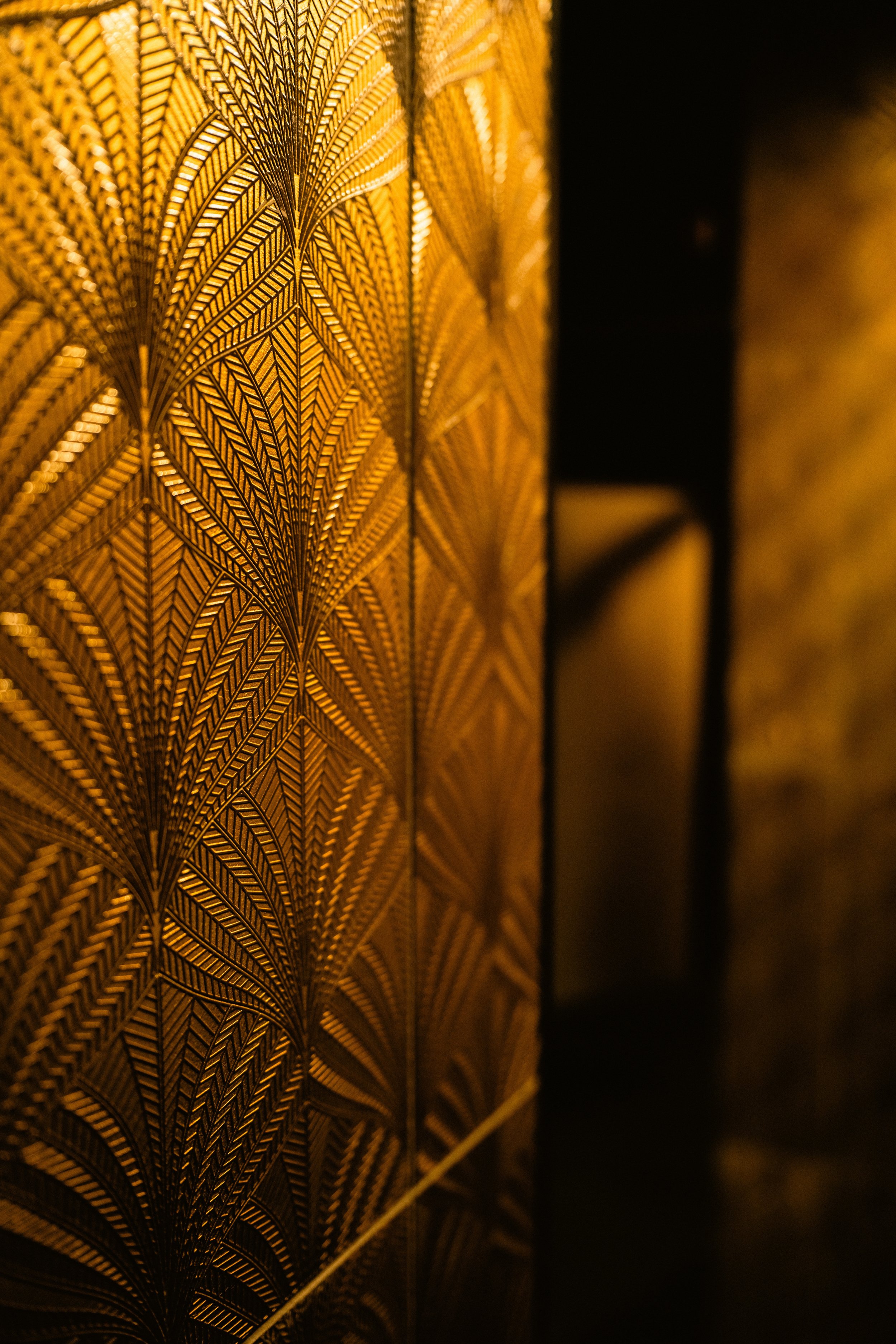 DSC00089 (1) (1).jpeg