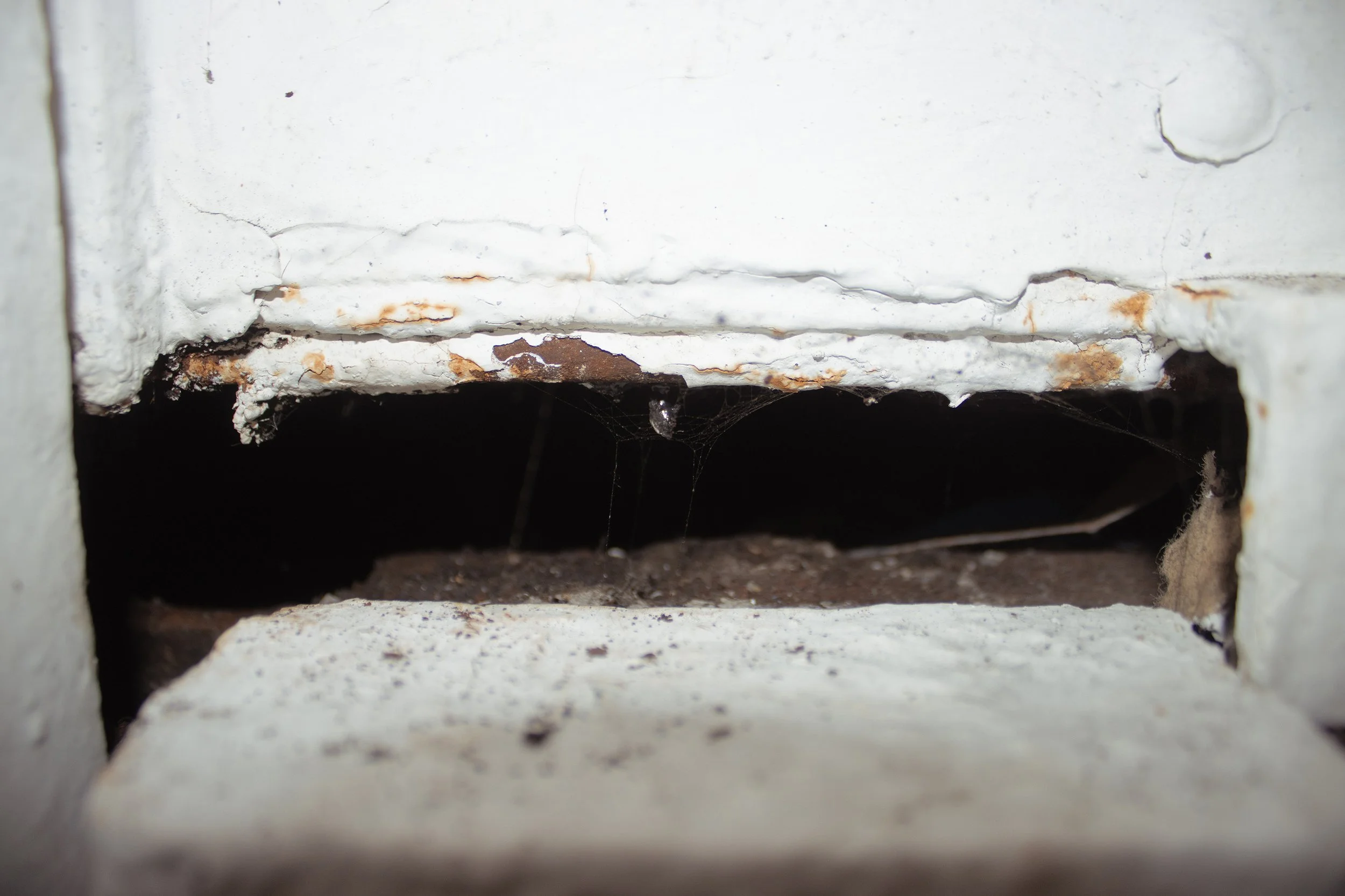 Rusty Elevator, 2025.