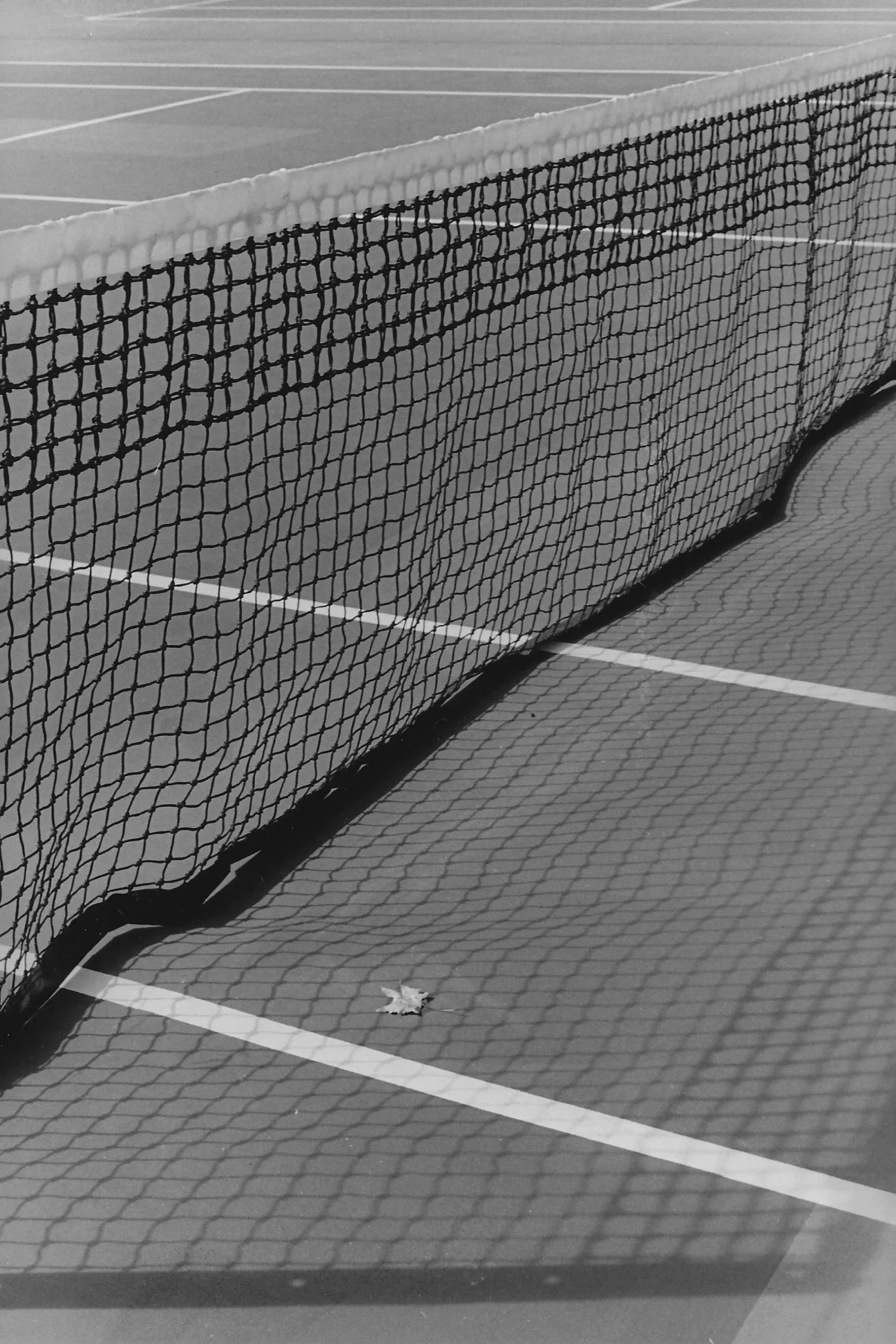 The Court @ 11am, 2024.