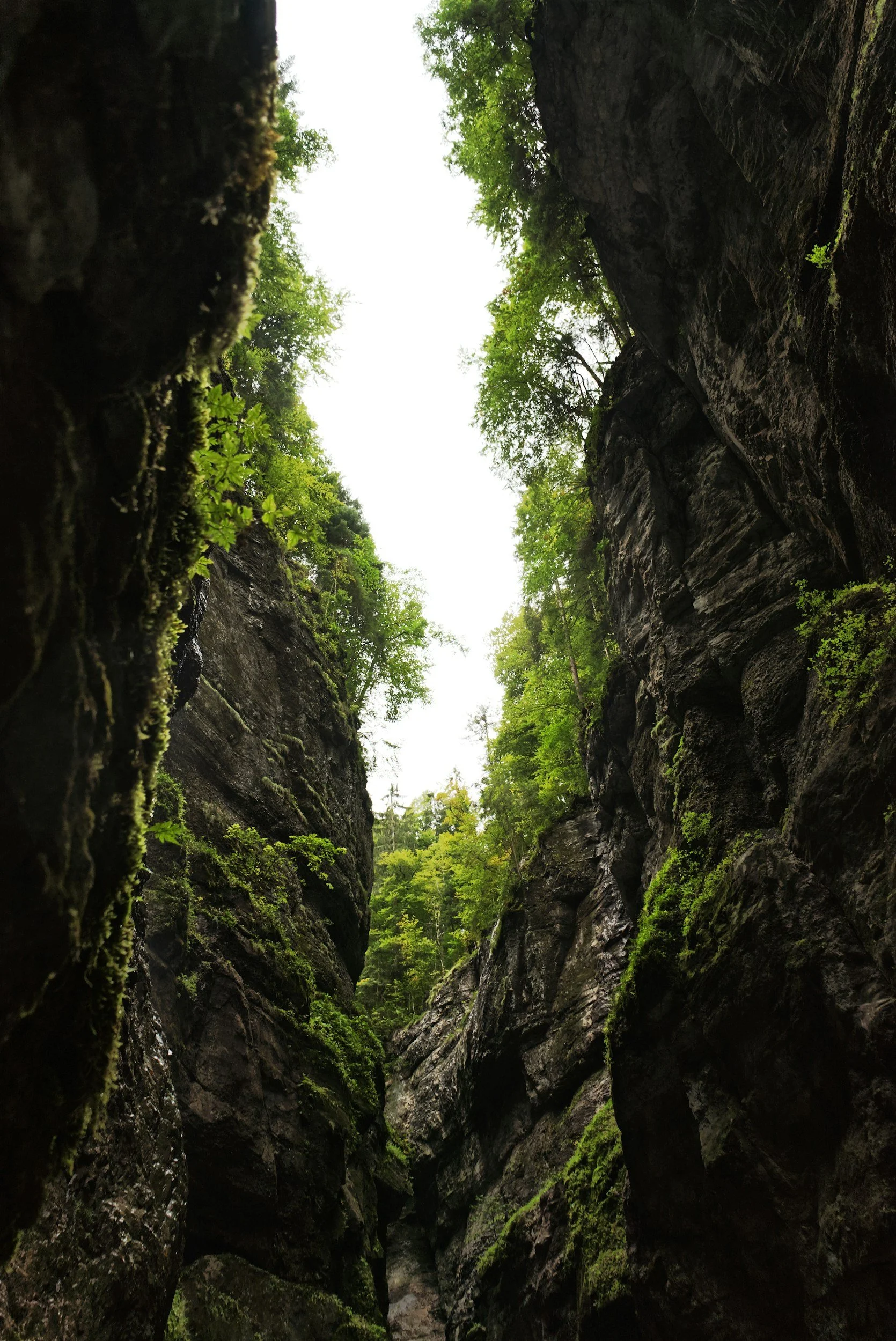 Crossing the Enterprise AI Agent Chasm with GUIDE