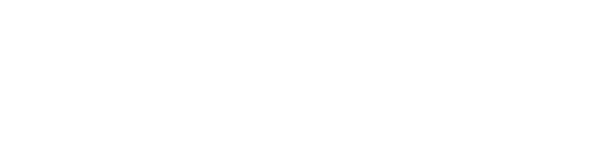 Logo for TSG Energy and Infrastructure Group with a lightning bolt symbol.