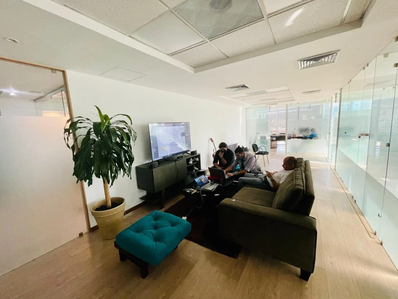 People working on laptops in a modern office lounge with a large potted plant, a TV, and glass walls.
