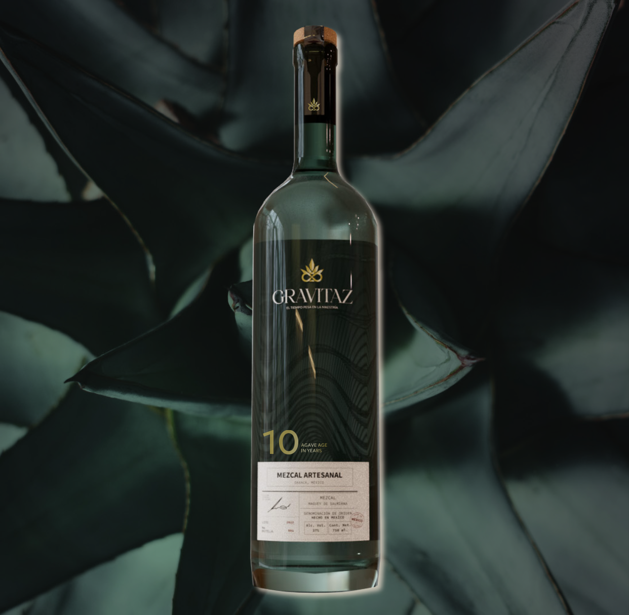 A bottle of Gravtaz Mezcal Artesanal placed in front of large agave plant leaves.