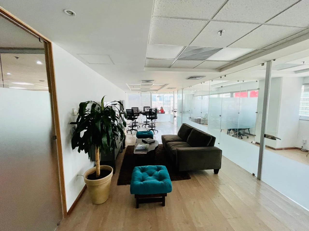 Office lounge with a sofa, turquoise ottoman, potted plant, and glass-walled meeting rooms in background.