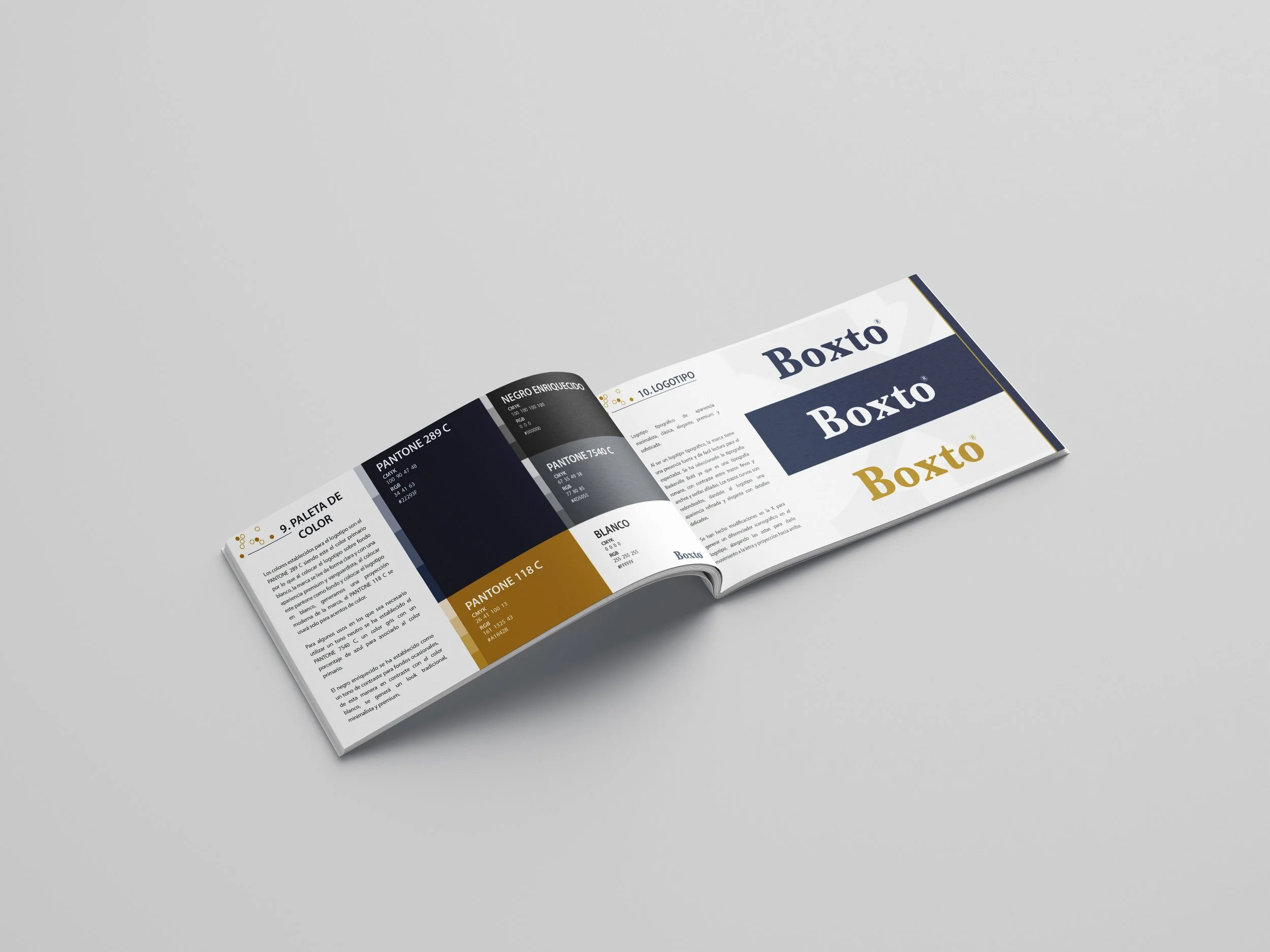 Open brand style guide or brochure showcasing different typography styles and color palettes, with the word 'Boxt' displayed in various fonts and colors.