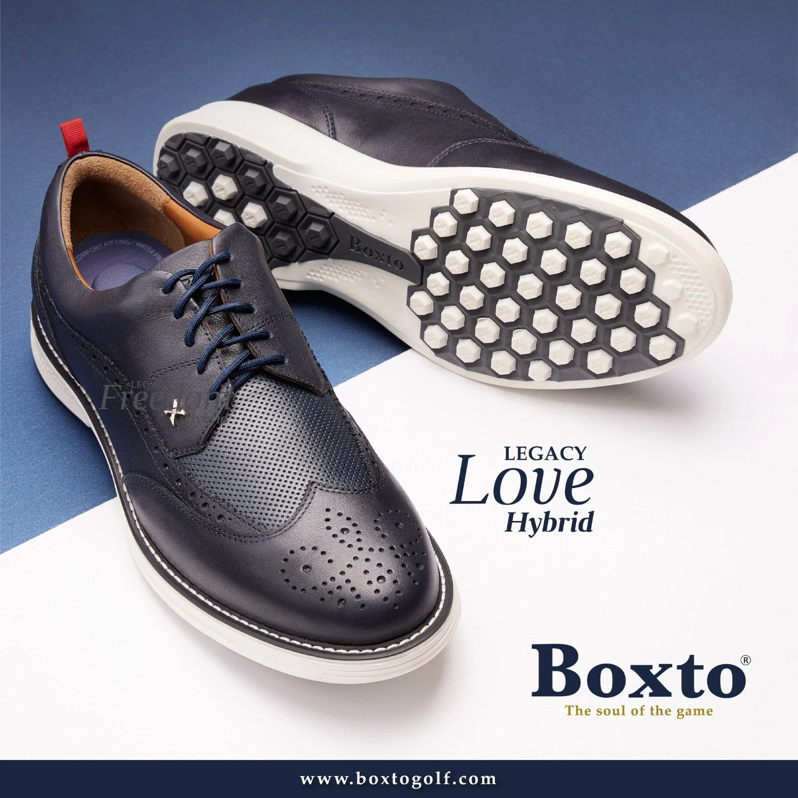 A pair of black leather golf shoes with perforated design, one shoe lying on top of the other, on a background partially blue and white, with the text "Legacy Love Hybrid" and the brand name "Boxto".