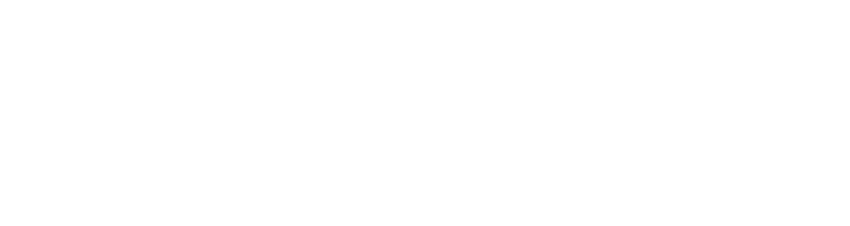 Logo of Nintendo Nintendogs with stylized text on a black background.