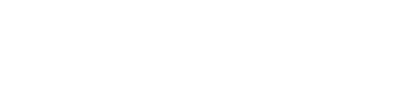 Senav leadership group logo in black and white with stylized graphic element.