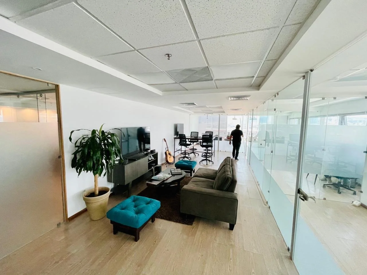 Modern office lounge area with a television, sofa, armchair, potted plant, and glass-walled conference room in the background.