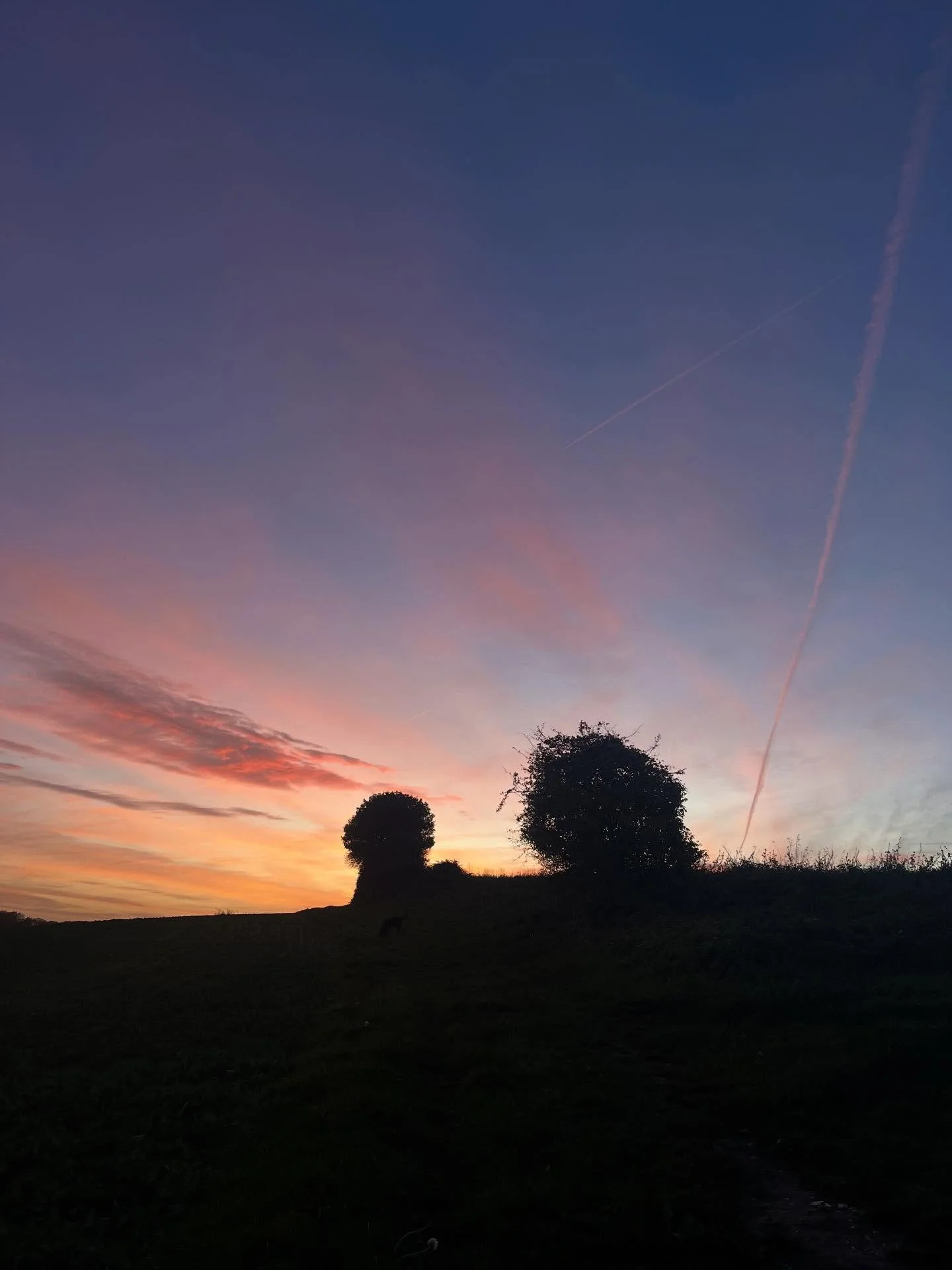 Light fantastic ❤️