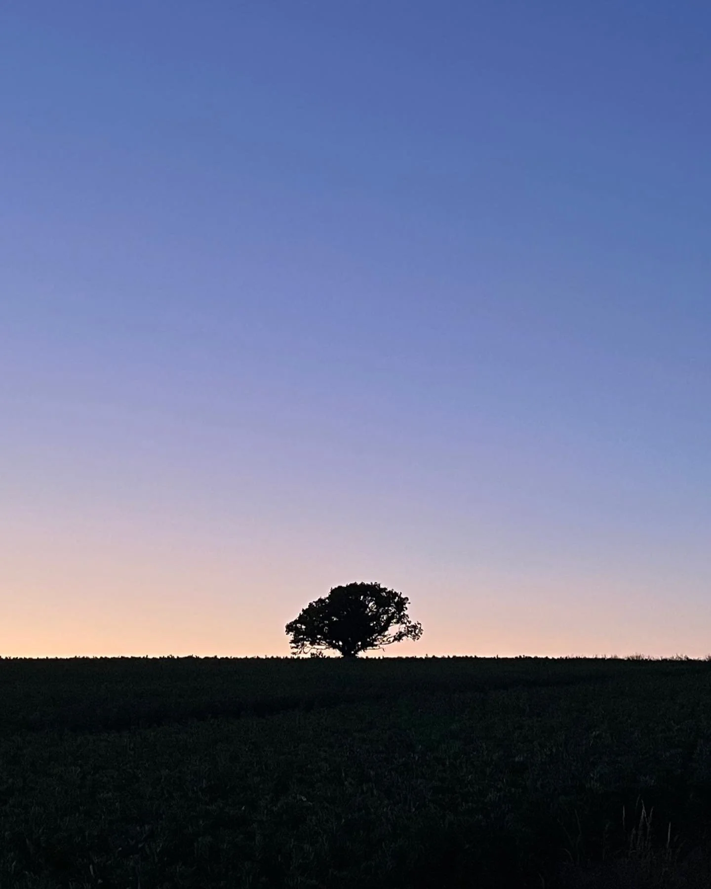 After the storm #westmeon x