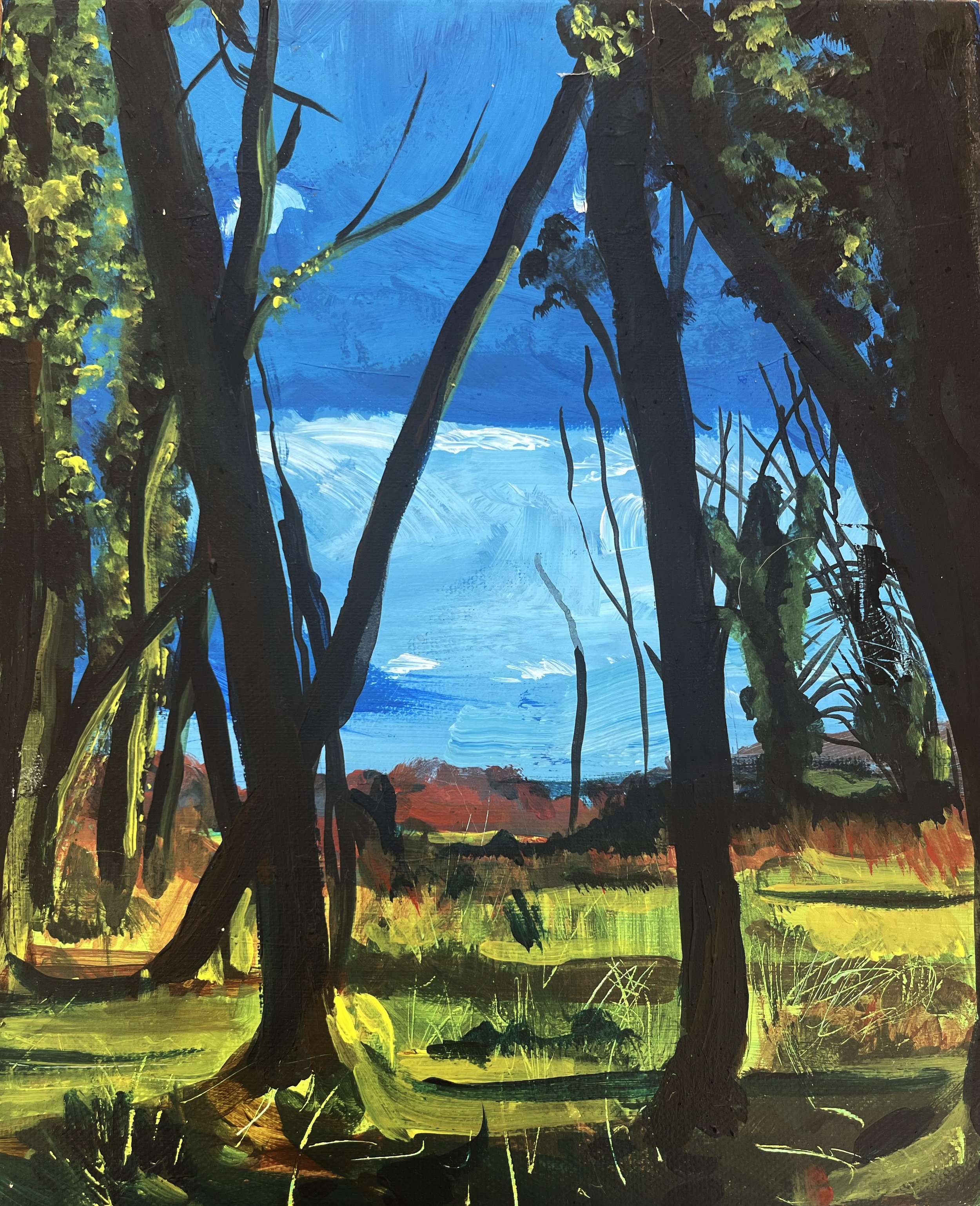 Selborne Common LS.jpg (Copy)