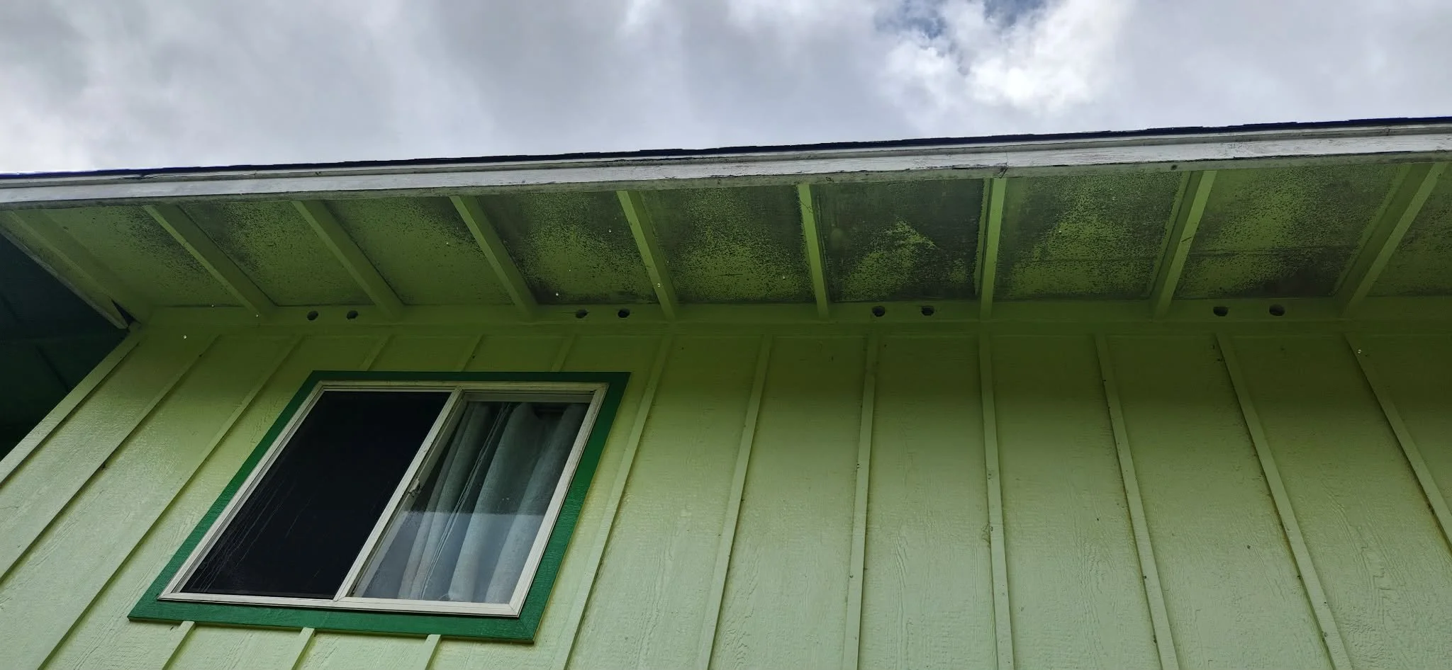 Before a Home Exterior Softwash...