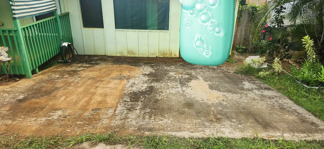 Before our driveway Softwash/ Pressure wash...