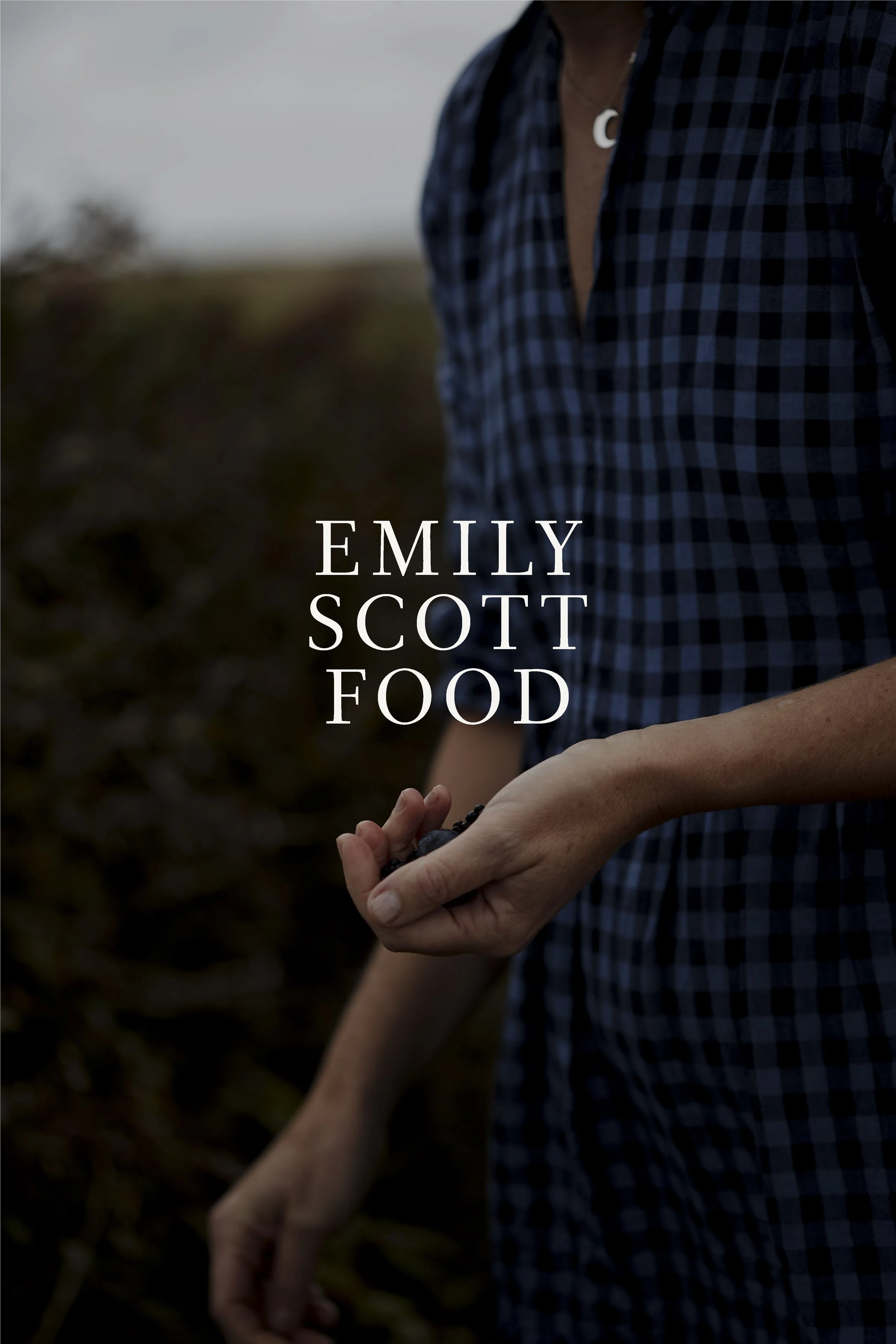 Emily Scott Food Branding -01.jpg