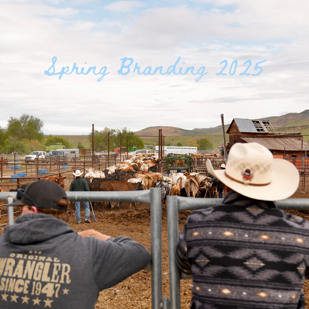 Add a subheading (1).png