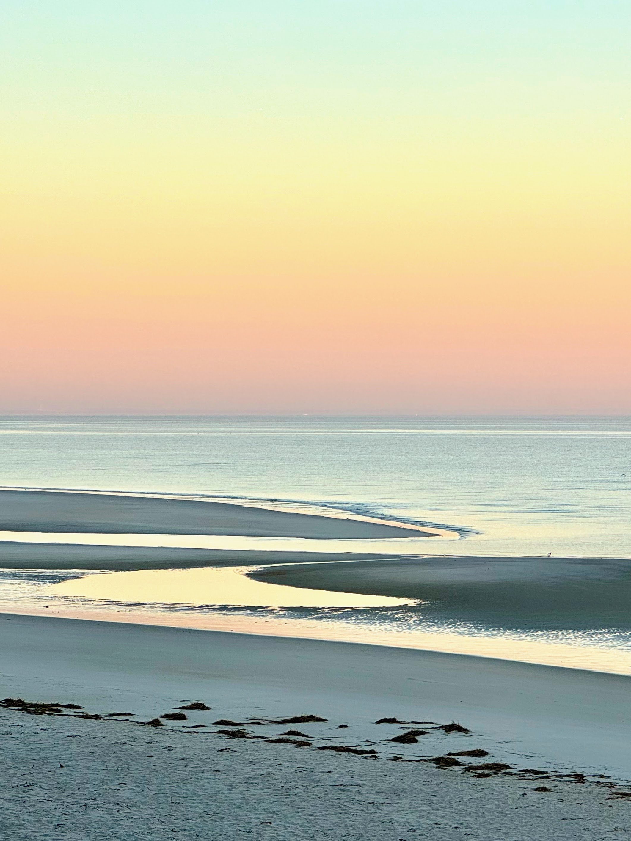 A serene beach scene at sunrise or sunset with pastel-colored sky, calm ocean waters, and sandy shore with some seaweed.