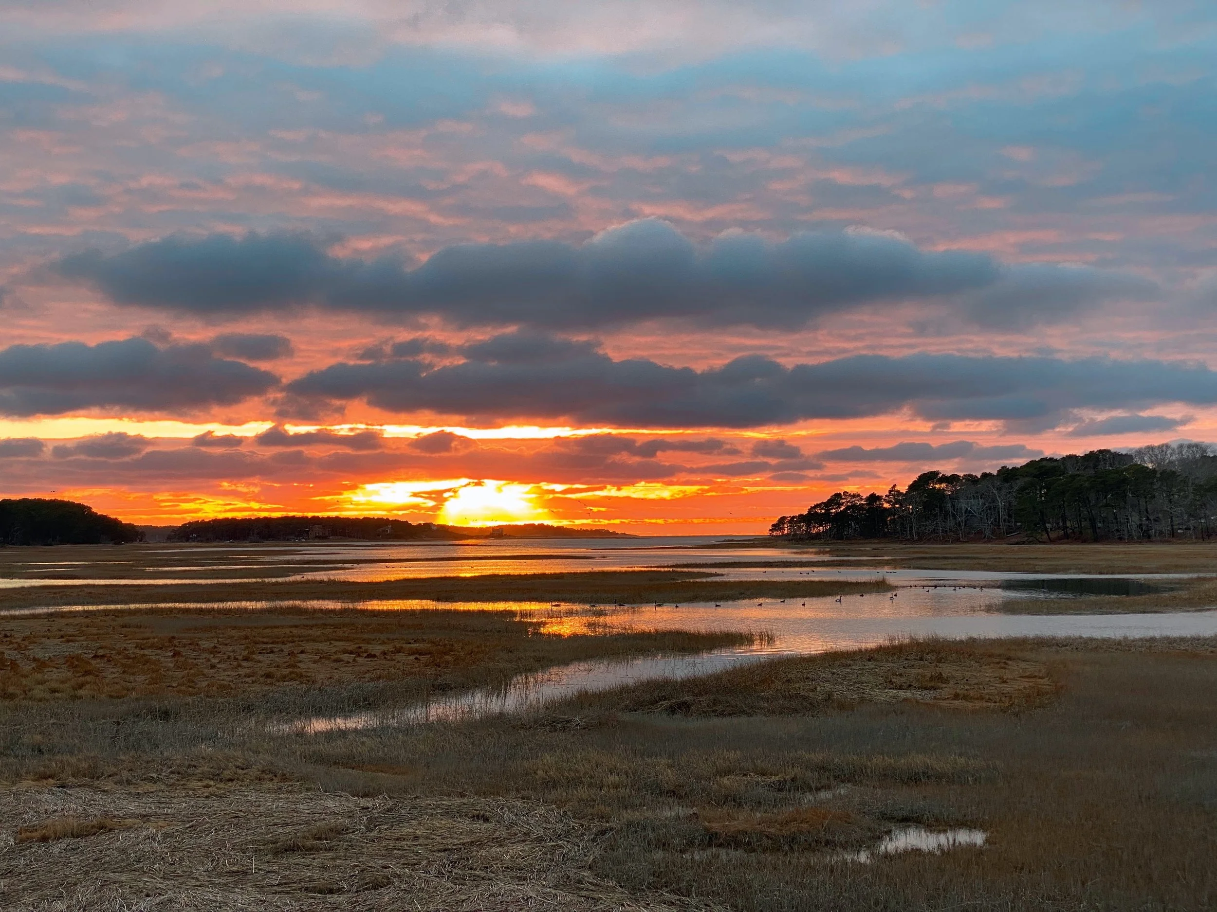 Sunset over a marsh with water reflecting the colorful sky, clouds, and distant trees.