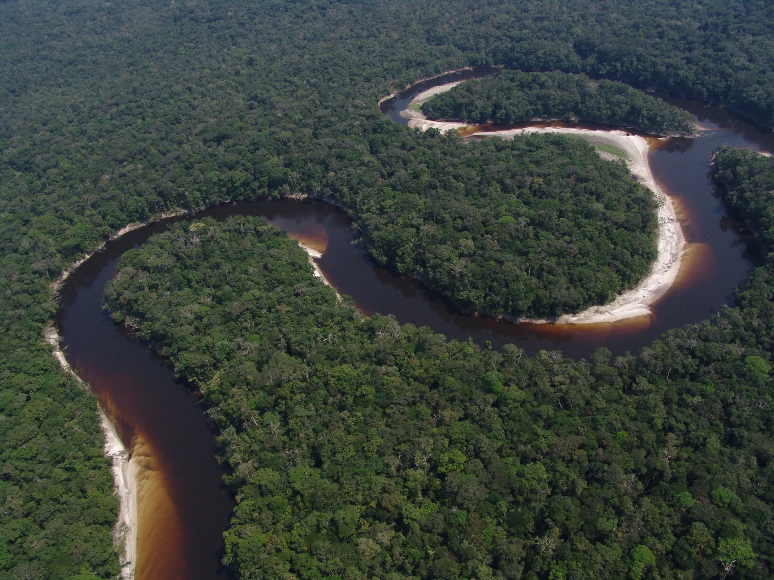 A winding river forming a large loop through a dense green forest.