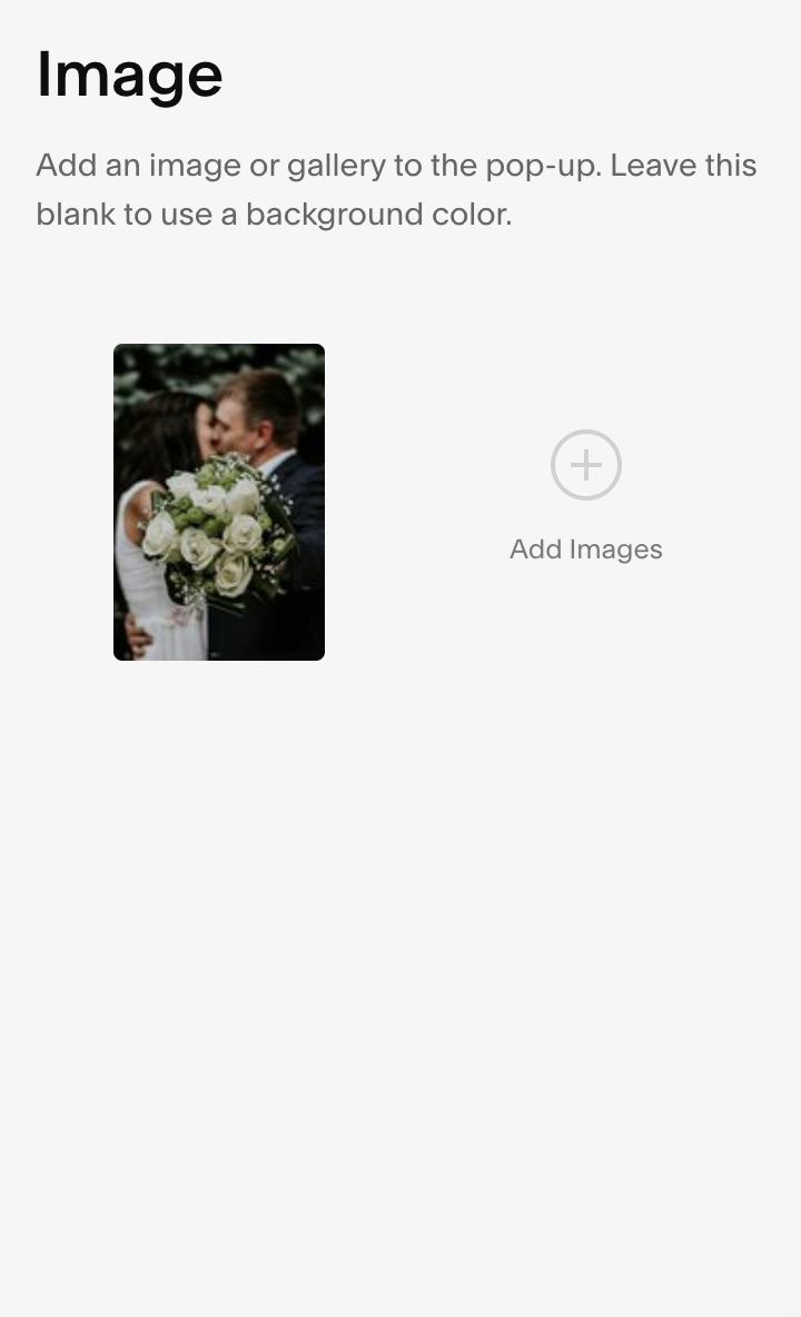Upload Squarespace promotional pop-up image