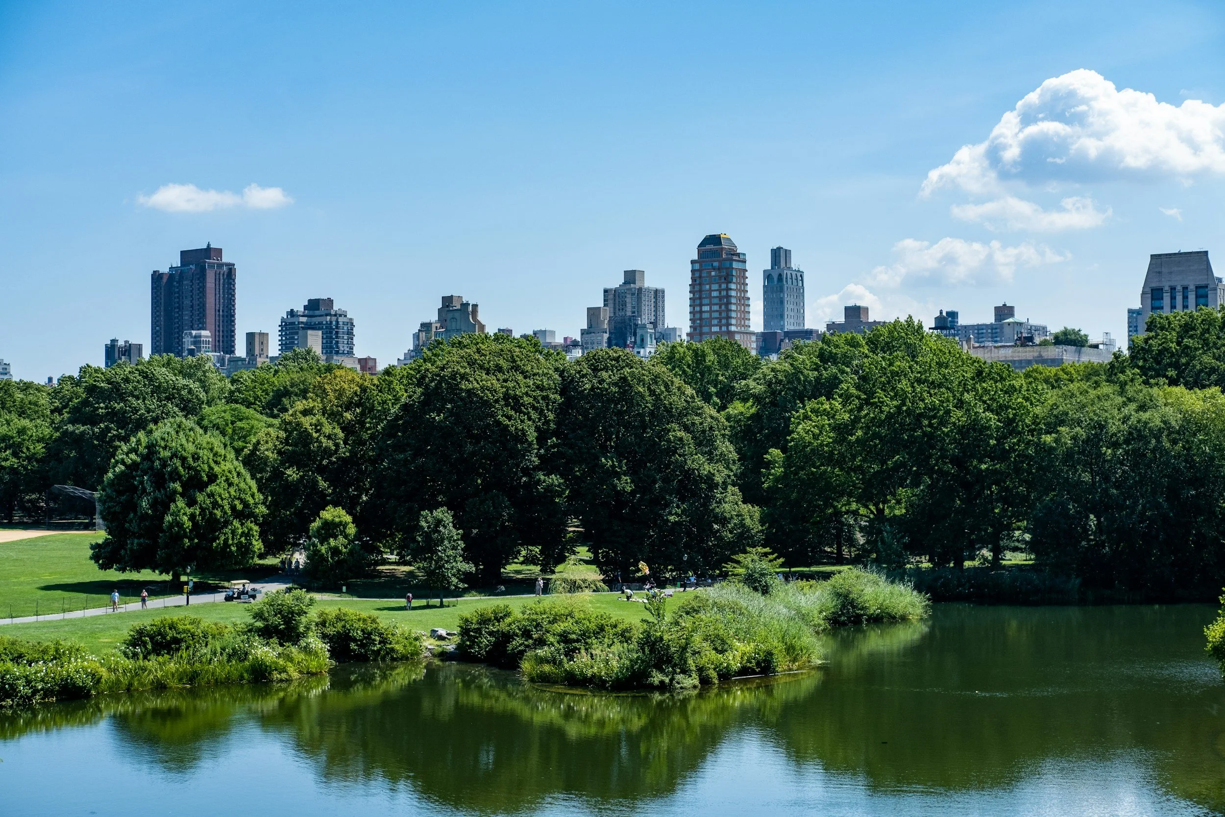 City skyline with tall buildings and skyscrapers behind a park with green trees and a body of water.