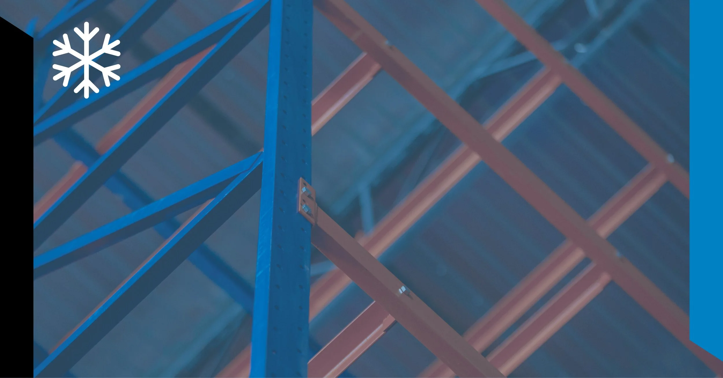 Key Considerations for Cold Storage Rack System Design